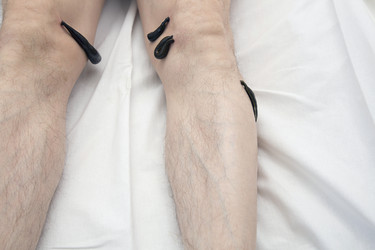 Similar image 22459317