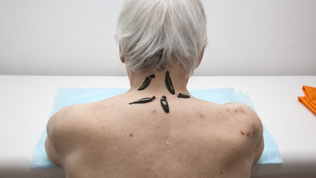 Similar image 22459318