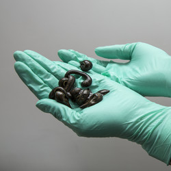 Similar image 22459320