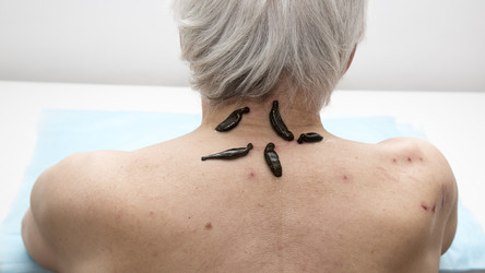 Similar image 22459324