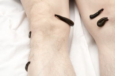 Similar image 22459328