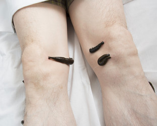 Similar image 22456862