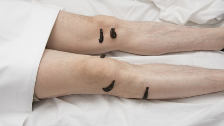 Similar image 22456865