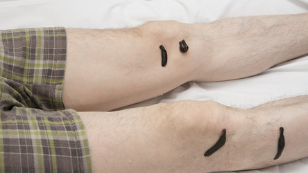 Similar image 22456866