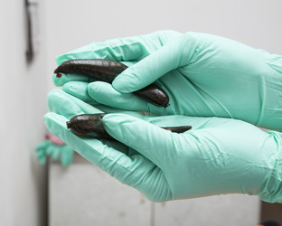 Similar image 22456871