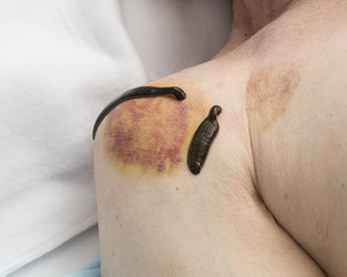 Similar image 22456877