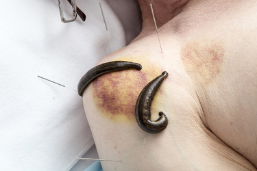 Similar image 22456879