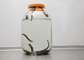 Similar image 22456886