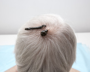 Similar image 22456887