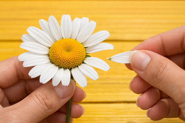 Similar image 22459688