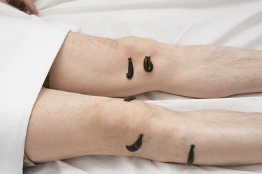 Similar image 22456889