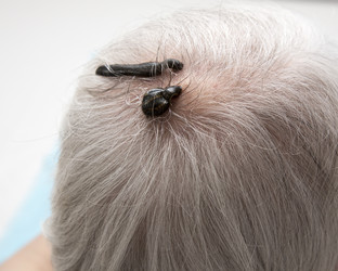 Similar image 22457748