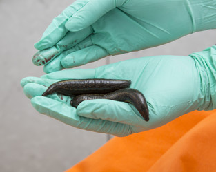 Similar image 22457750