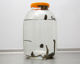 Similar image 22459267