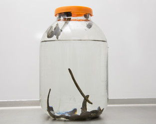 Similar image 22459268