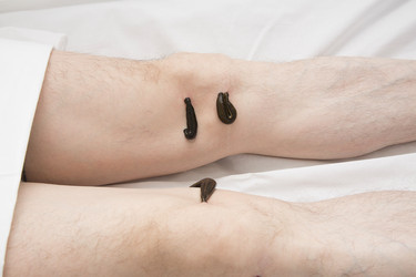 Similar image 22459269