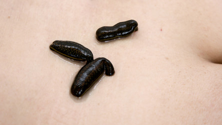 Similar image 22459271