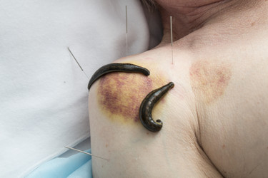 Similar image 22459272