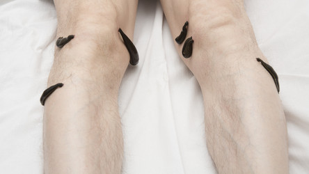 Similar image 22459274