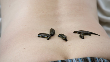 Similar image 22459275