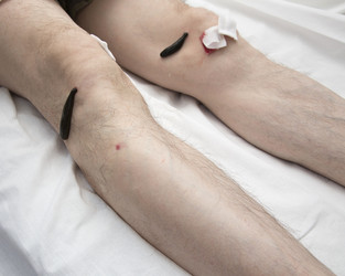 Similar image 22459276