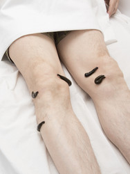 Similar image 22459279