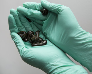 Similar image 22459280