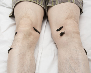 Similar image 22459284