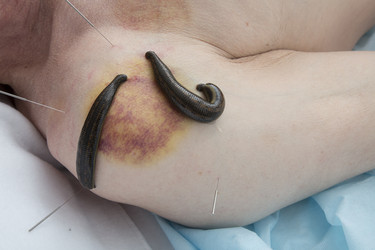 Similar image 22459286