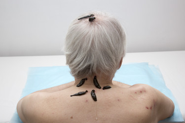 Similar image 22459288