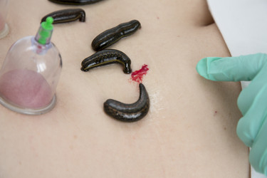 Similar image 22459289