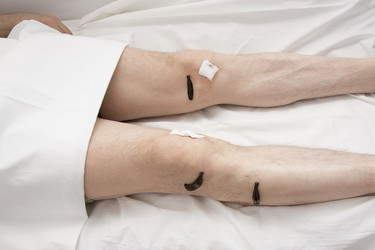 Similar image 22459292