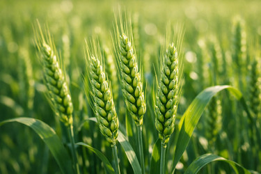 Similar image 22459759