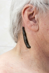 Similar image 22459309