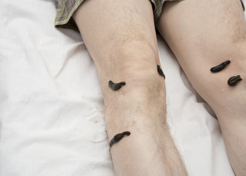 Similar image 22459310