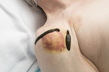 Similar image 22459311