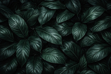 Similar image 22453948