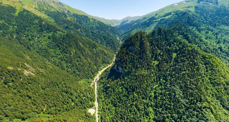 Similar image 22456836