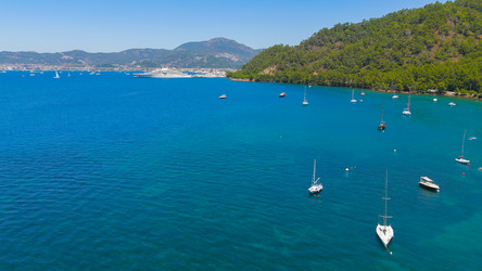 Similar image 22456851