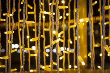 Similar image 22470638