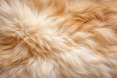 Similar image 22459691