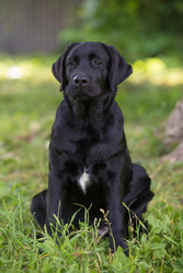 Similar image 22456452