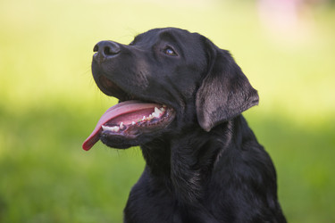 Similar image 22456453