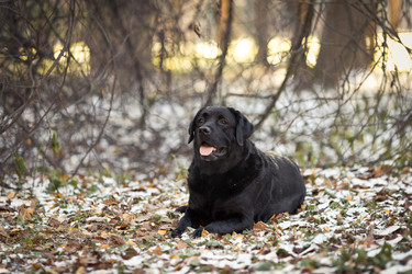 Similar image 22456455