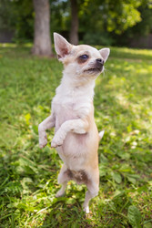 Similar image 22456456