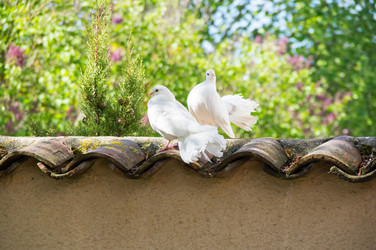 Similar image 22455205