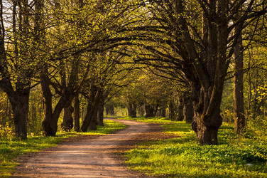 Similar image 22455206