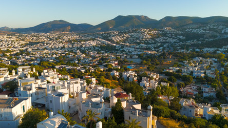 Similar image 22456840