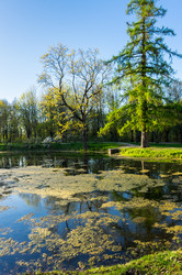 Similar image 22455213