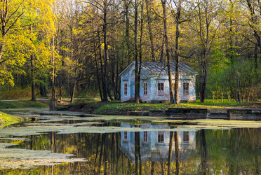 Similar image 22455223